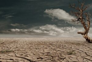 Apa Itu El Nino: Dampak El Nino Bagi Indonesia Adalah